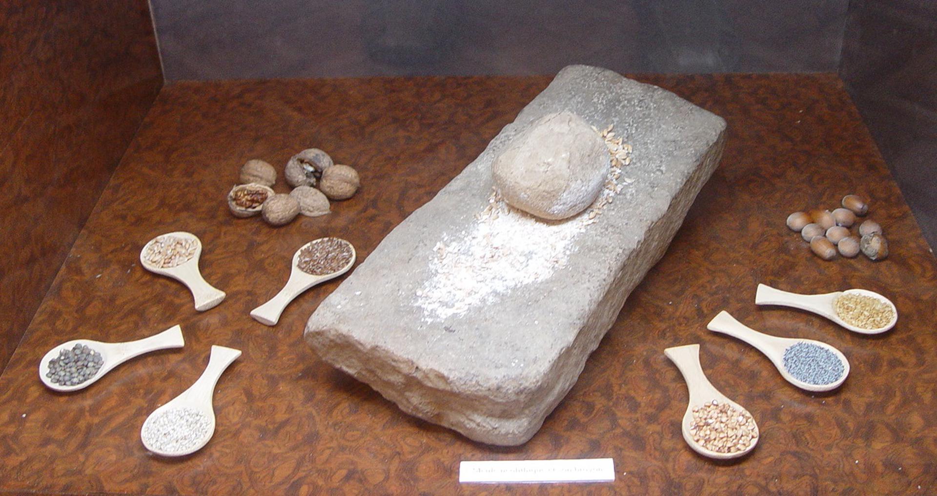 Vitrine de la préhistoire au Musée Pillon