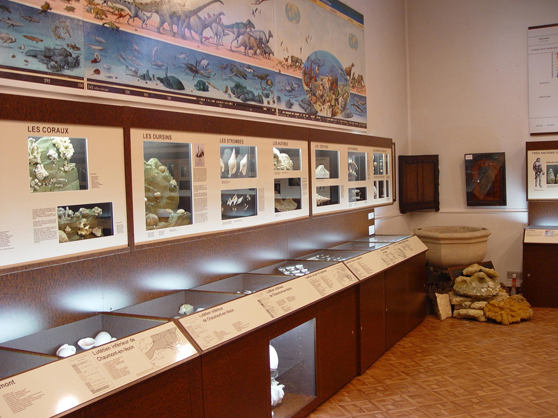 Musée Pillon (vue générale)