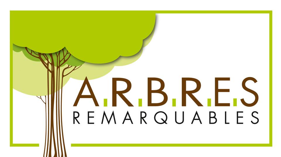 logo de l'association 'ARBRES'